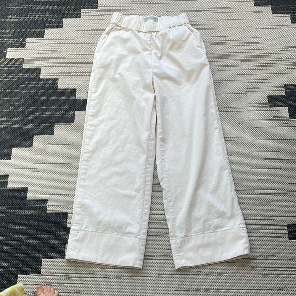 Everlane High Waist Crop Wide Leg Pant